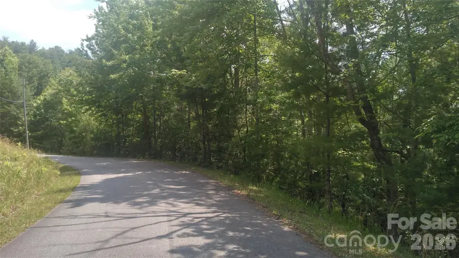 Lot 2F Seminole Path, Marion, NC 28752 - #2