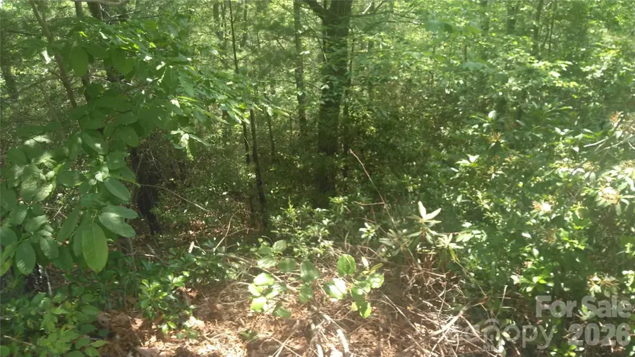 Lot 2F Seminole Path, Marion, NC 28752 - #3
