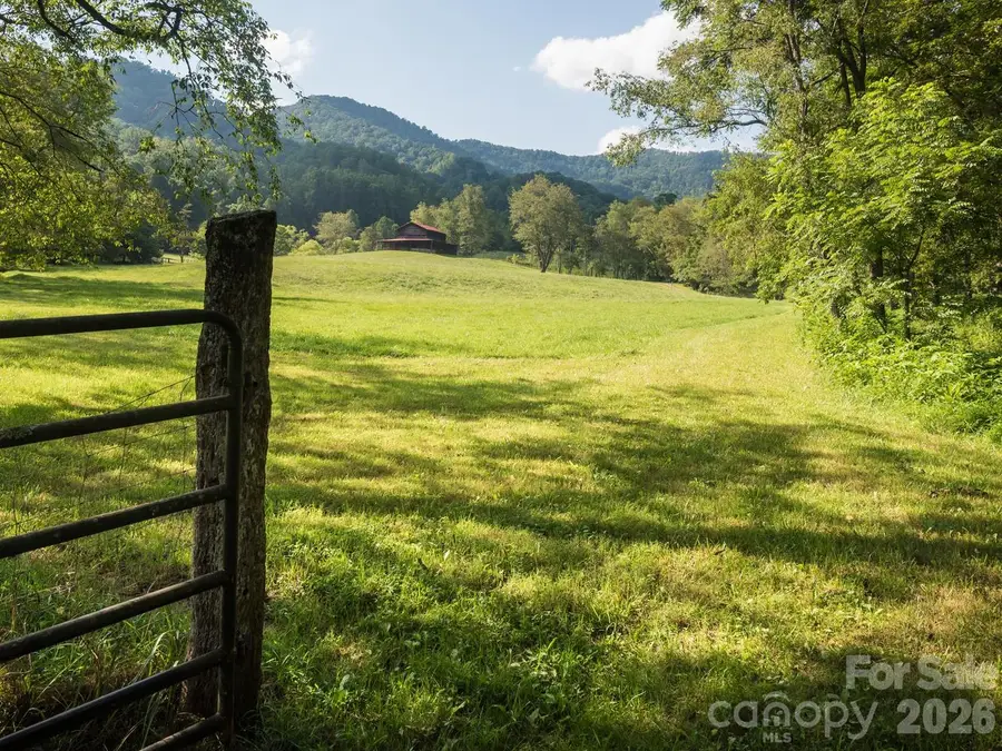 741 Morrow Branch Road, Leicester, NC 28748 - #2