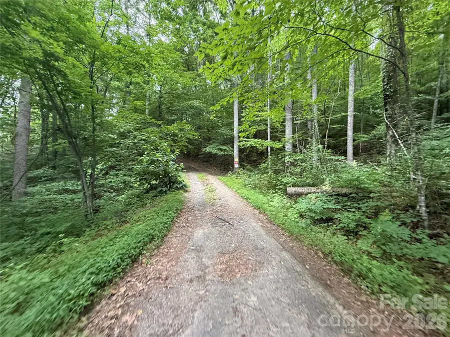 9999 Countryside Estate, Barnardsville, NC 28709 - #2
