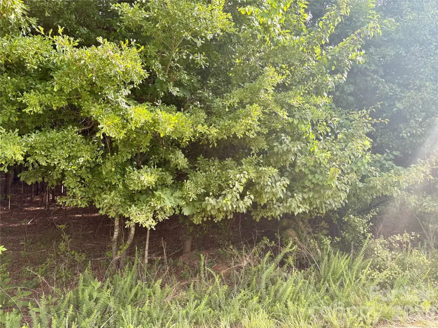 0 Clearwater Road, Shelby, NC 28152 - #3