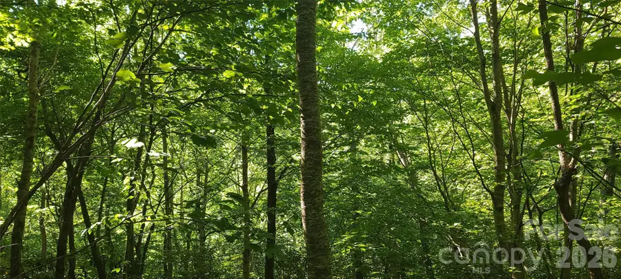 Lot# 19 Mill Creek Road, Old Fort, NC 28762 - #2