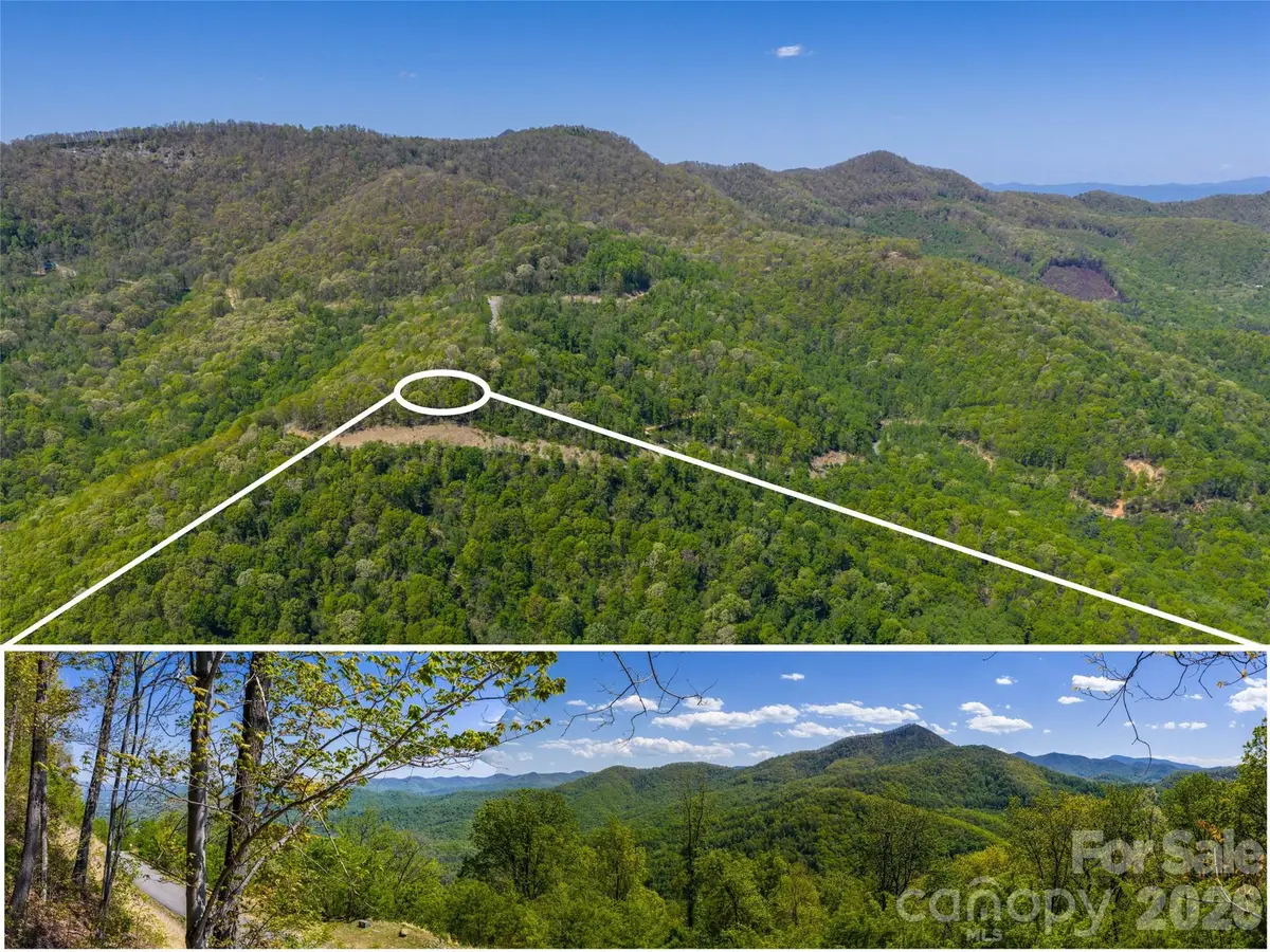 0000 Lovebird Lane #18, Beaverdam, NC 28716 - #1