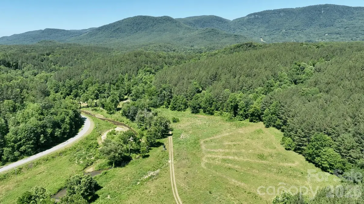 1194 Palmer Road, Mill Spring, NC 28756 - #1