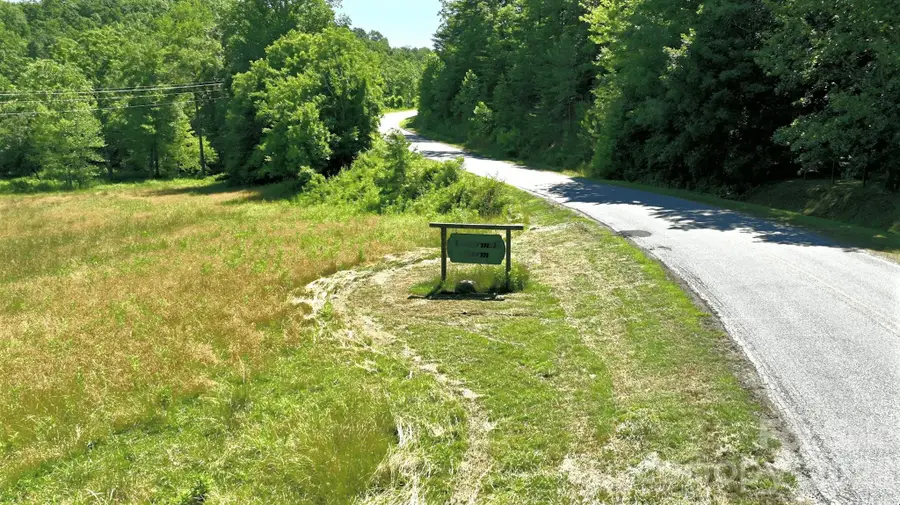 1194 Palmer Road, Mill Spring, NC 28756 - #2