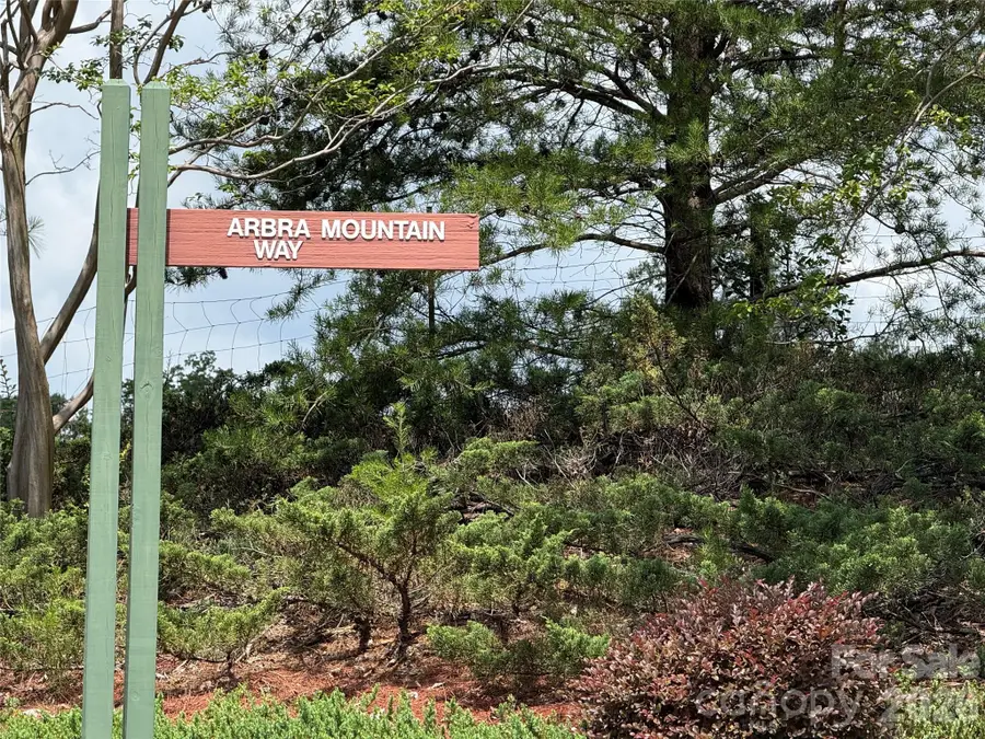 Lot 15 Arbra Mountain Way, Bostic, NC 28018 - #2