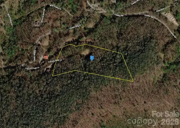 4 Falcons Peak Lane, Whittier, NC 28789