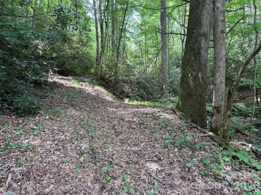 10A Reserve Road, Pisgah Forest, NC 28768 - #2