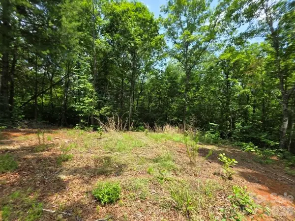 169 Fairfield Lane, Marion, NC 28752