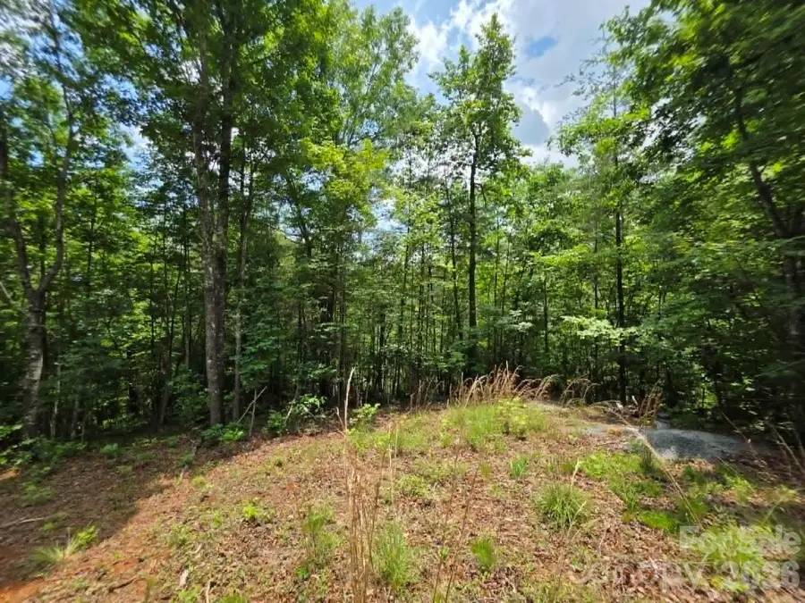 169 Fairfield Lane, Marion, NC 28752 - #2