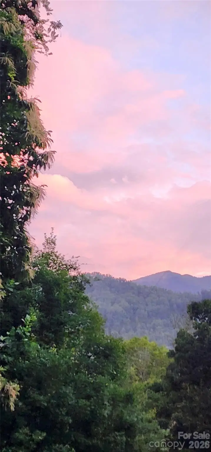 583 Dark Ridge Road, Sylva, NC 28779 - #2