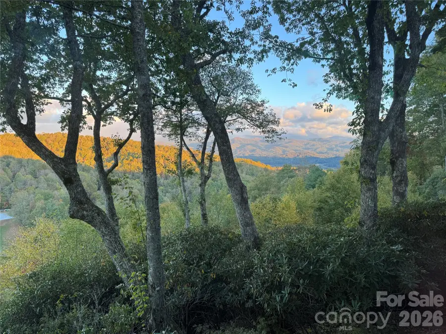 298 Tinequa Drive, Brevard, NC 28712 - #2