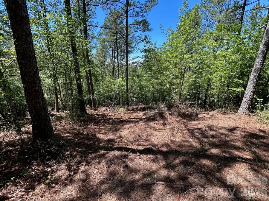 1175 Hidden Cove Lane, Connelly Springs, NC 28612 - #2