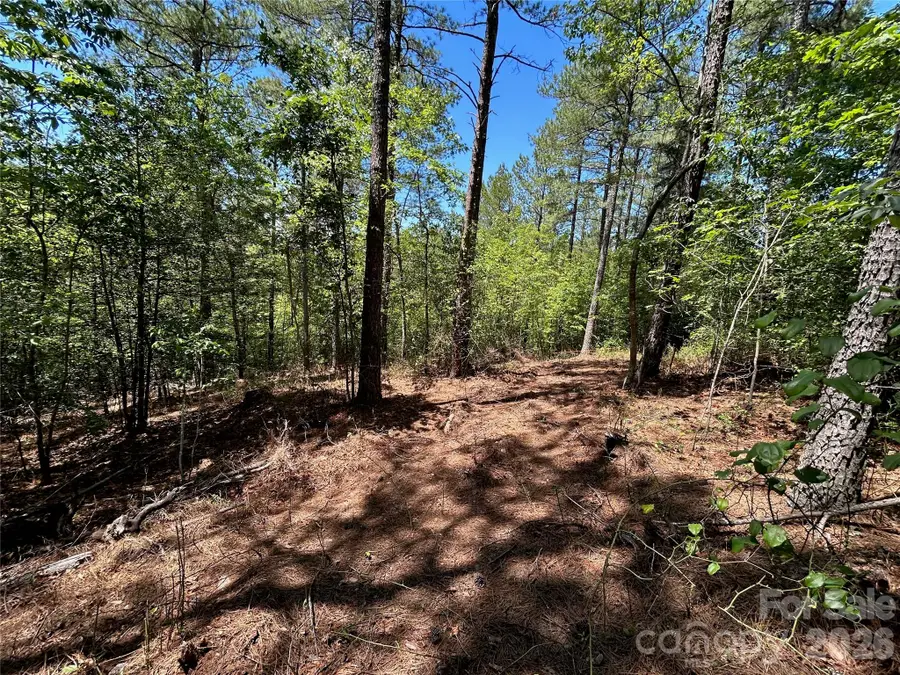 1175 Hidden Cove Lane, Connelly Springs, NC 28612 - #3