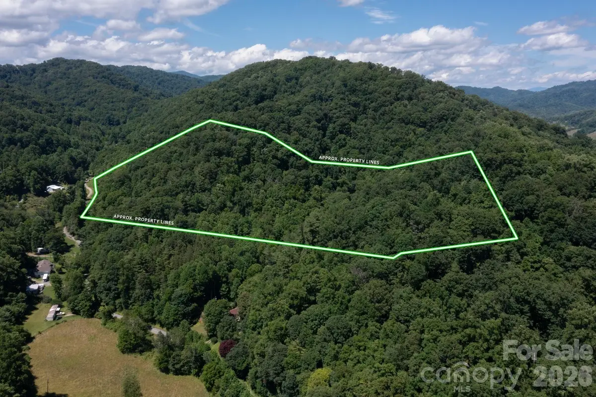 TBD Wooded Mountain Trail #Tract 1, Mars Hill, NC 28754 - #1