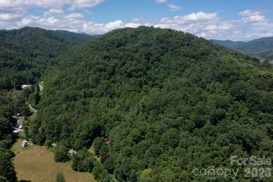 TBD Wooded Mountain Trail #Tract 1, Mars Hill, NC 28754 - #3