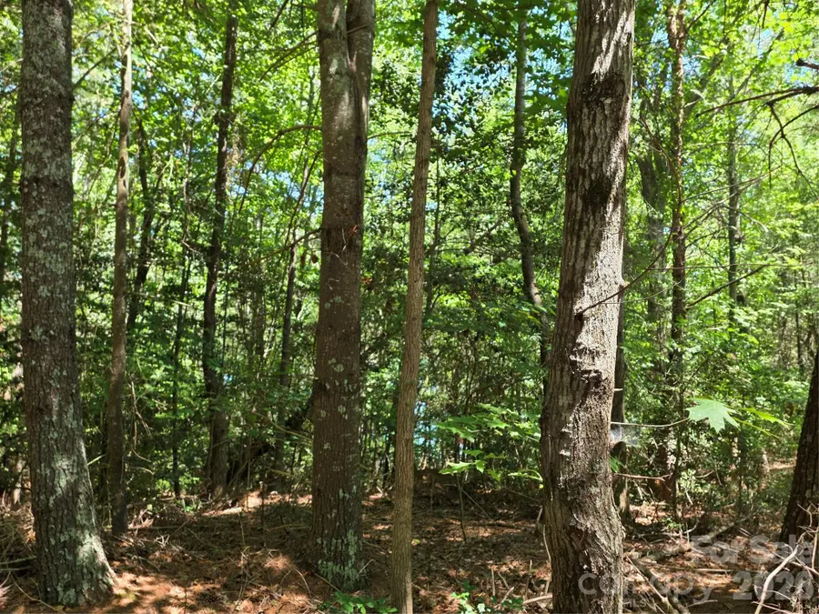 1635 Braxton Gate Drive #198, Morganton, NC 28655 - #2