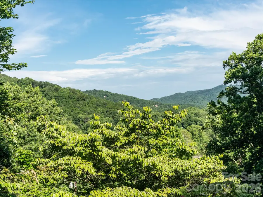 45 Mountain View Avenue, Black Mountain, NC 28711 - #2