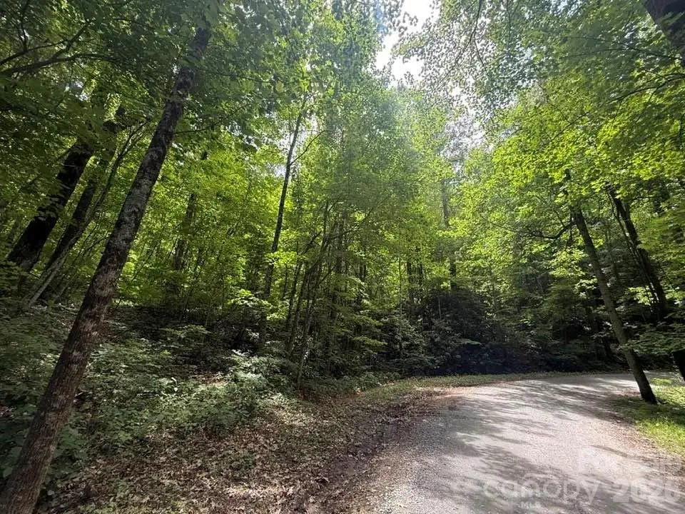 000 Summit Road #343, Tryon, NC 28782 - #1