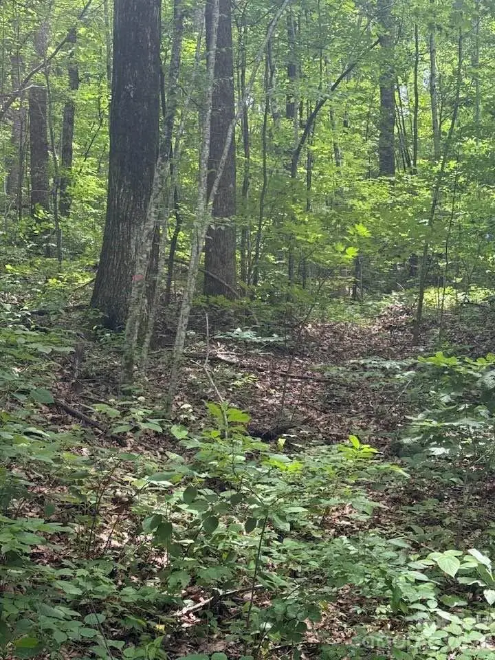 000 Summit Road #343, Tryon, NC 28782 - #2