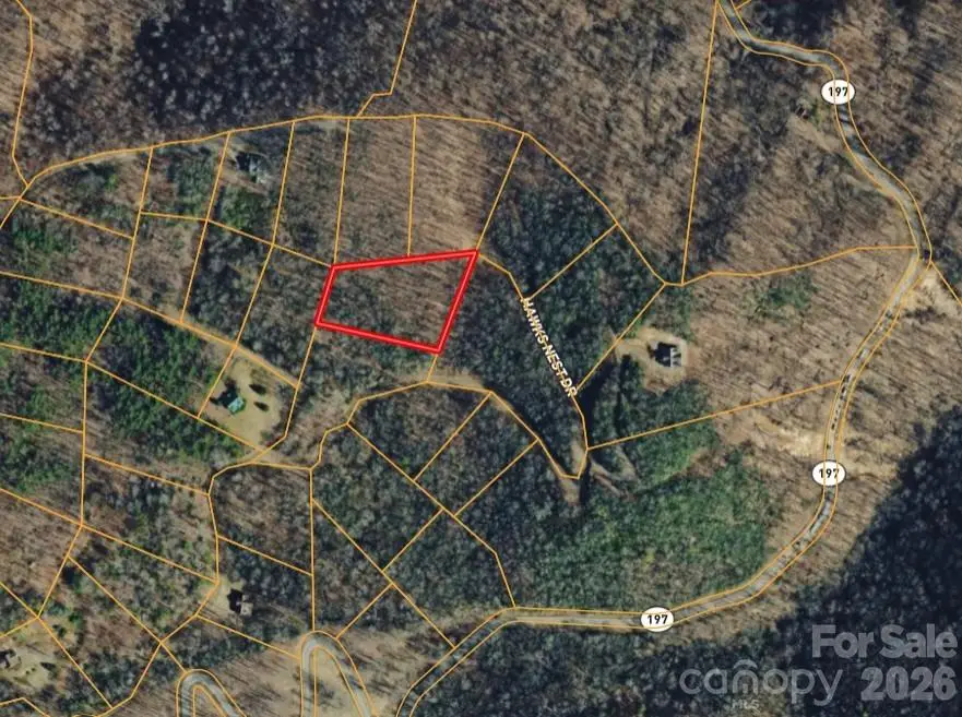 000 Hawks Nest Drive, Burnsville, NC 28714 - #1