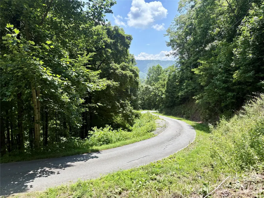 0 Eagles Roost Road #70, Bryson City, NC 28713 - #3