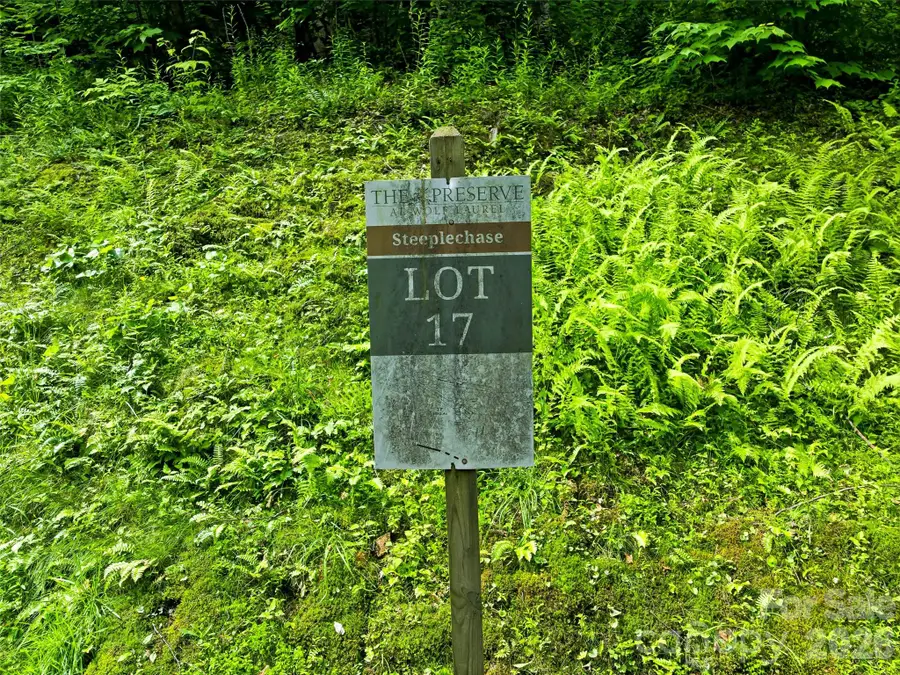 17 Mountain Gait Drive #17, Mars Hill, NC 28754 - #2