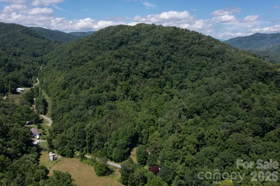 TBD Wooded Mountain Trail #Tracts 1 & 2, Mars Hill, NC 28754 - #2