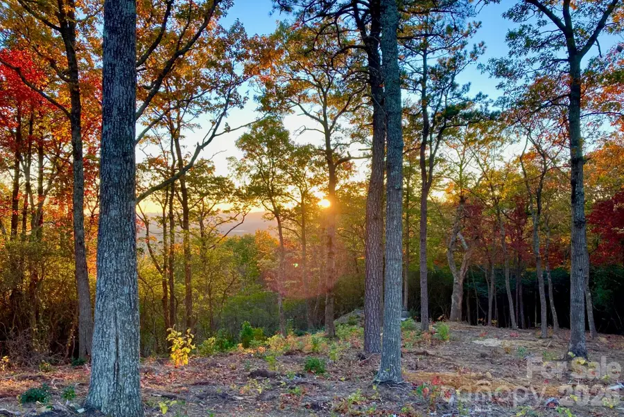 99999 Mountain Grove Lane #48, Fletcher, NC 28732 - #3