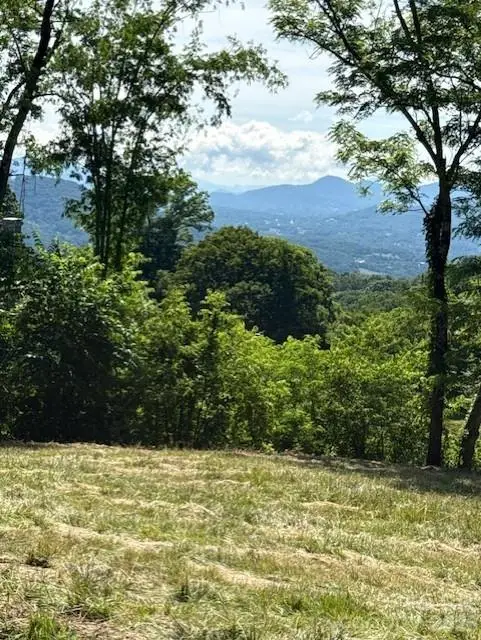 #38 Sleepy Hollow Drive, Waynesville, NC 28785 - #1