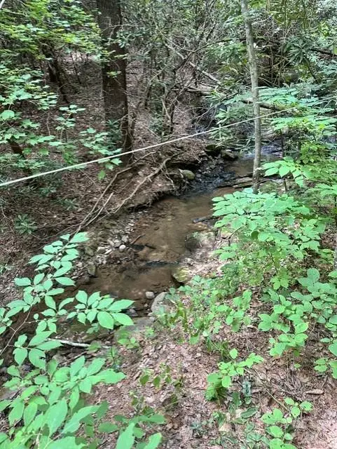TBD Basin Creek Drive #14, Taylorsville, NC 28681 - #3