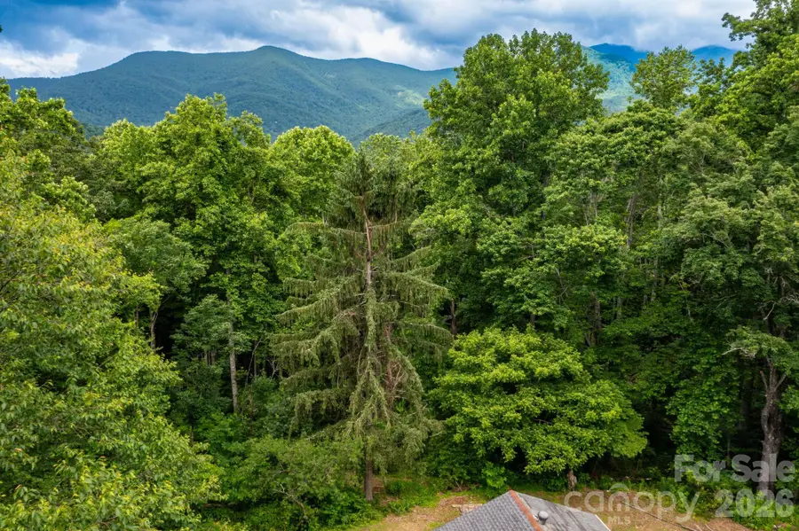 191 Walkertown Road, Black Mountain, NC 28711 - #3
