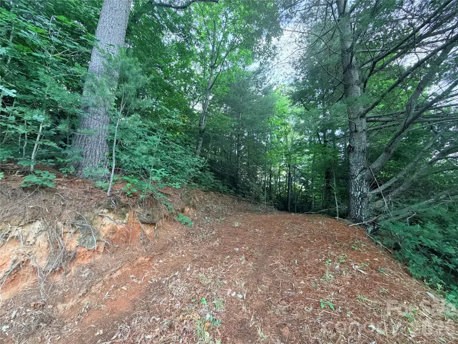 0 Silverglen Way #53, Hendersonville, NC 28792 - #3