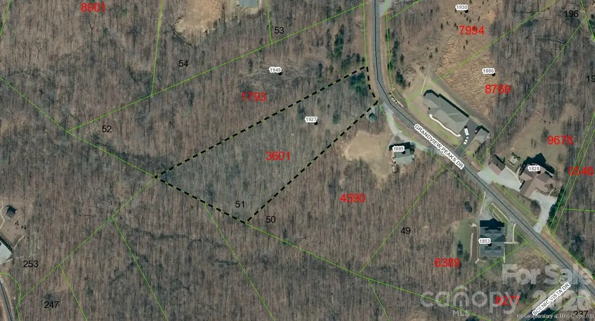 1927 Grandview Peaks Drive #51, Nebo, NC 28761 - #1