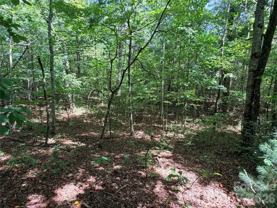 00 Grassy Knob Road #5, Mill Spring, NC 28756 - #3