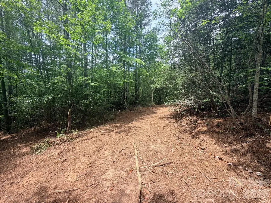 0 Gold Creek Point #4, Union Mills, NC 28167 - #3