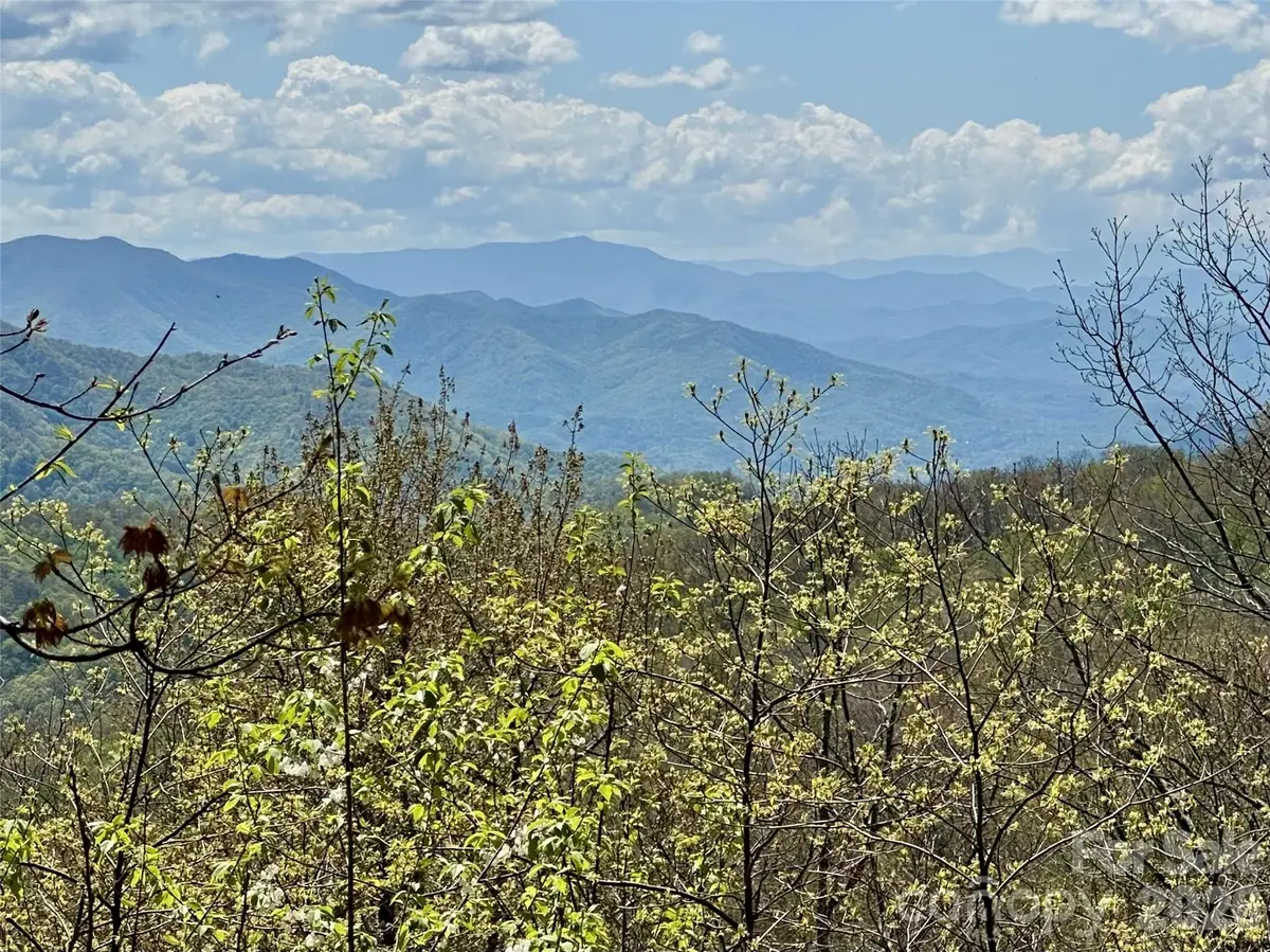 00 Aquina Mountain Mountain #H, Maggie Valley, NC 28751 - #1