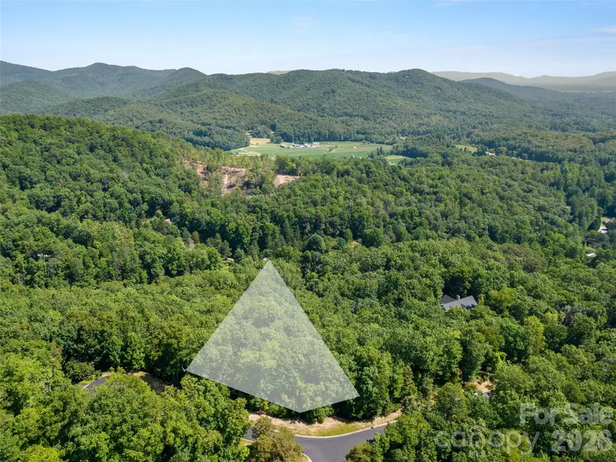 99999 Shining Rock Path #69, Horse Shoe, NC 28742 - #2