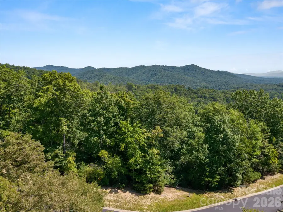 99999 Shining Rock Path #69, Horse Shoe, NC 28742 - #3