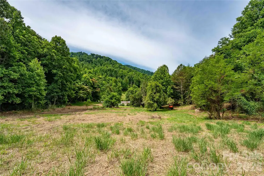9999 Morgan Branch Road, Weaverville, NC 28787 - #3