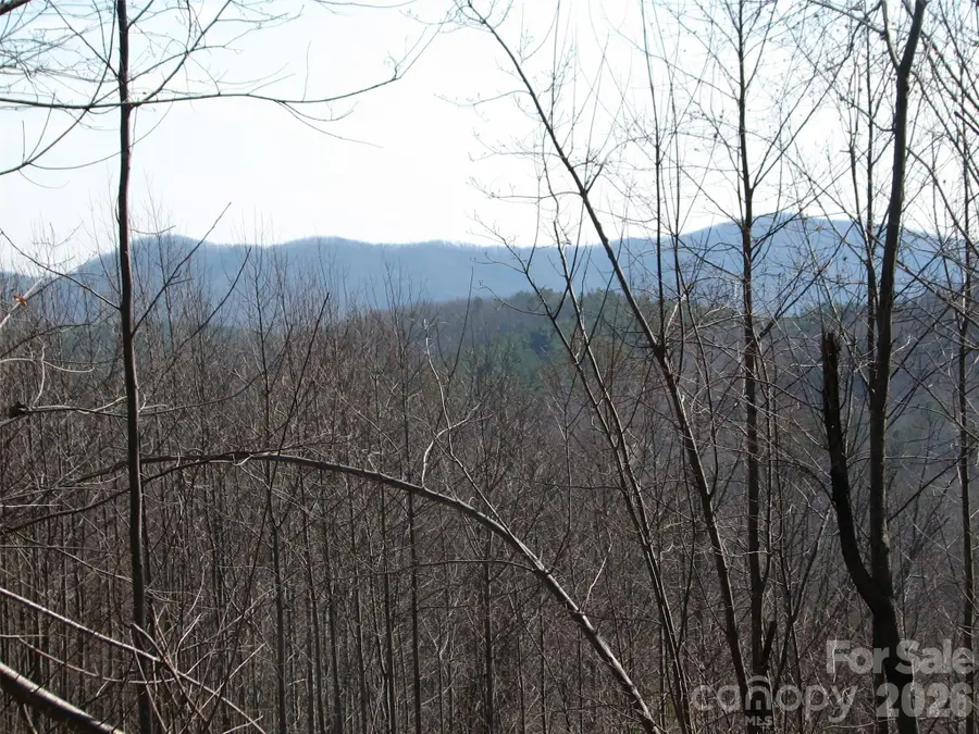 000 Meditation Ridge Ridge #21,22, Nebo, NC 28761 - #3