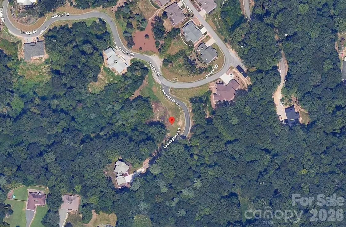 52 Lemongrass Trail, Hendersonville, NC 28791 - #1