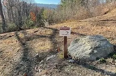 52 Lemongrass Trail, Hendersonville, NC 28791 - #3