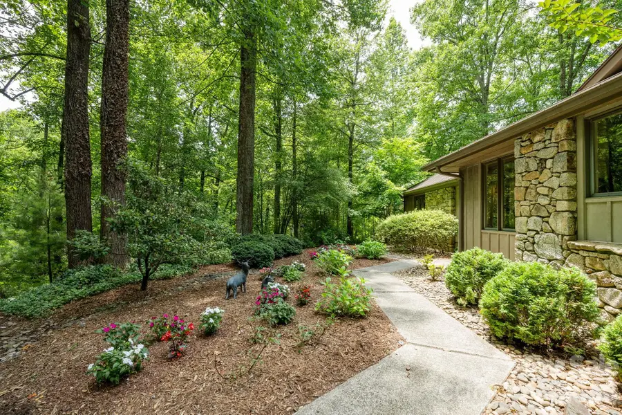 117 Tarnhill Drive, Flat Rock, NC 28731 - #3