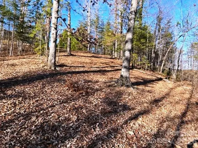 Lot 17-4 N Coast Drive, Mill Spring, NC 28756 - #2