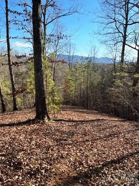 Lot 17-4 N Coast Drive, Mill Spring, NC 28756 - #3