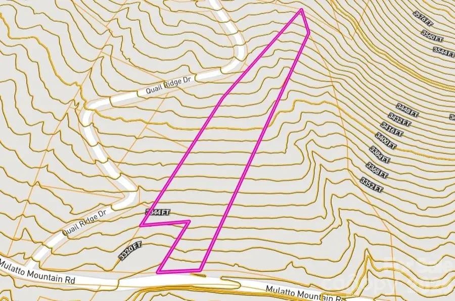 000 Mulatto Mountain Road, Fleetwood, NC 28626 - #2
