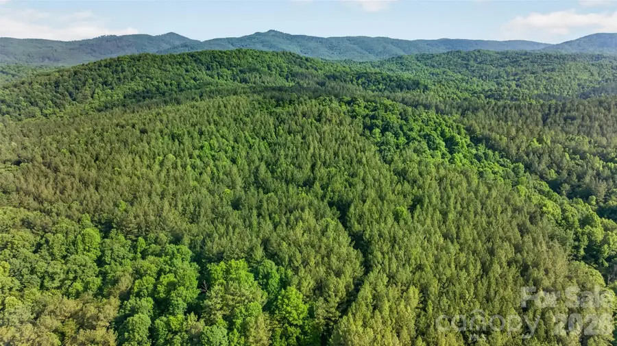 485 Frog Creek Road, Union Mills, NC 28167 - #2