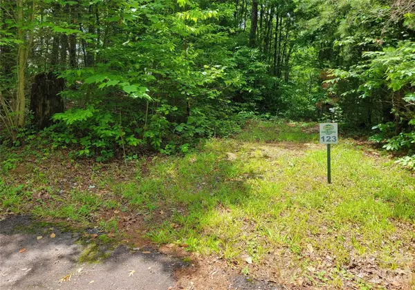 TBD Bear River Lodge Road #123, Marshall, NC 28753