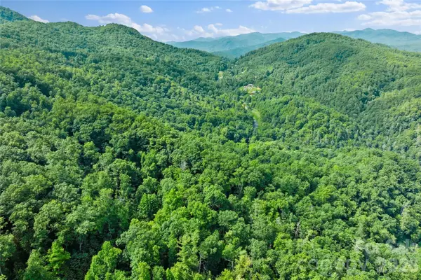 TBD Bear River Lodge Trail #132, Marshall, NC 28753